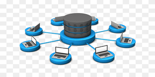 https://www.edutec.pw/Database & Automation System (Server-Side)